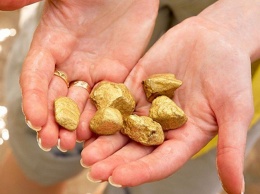 В горах Алтая обнаружили 22 тонны золота