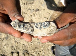 В Эфиопии найден новый вид древнего человека