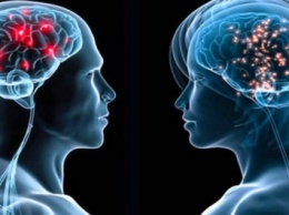 Ученые нашли новое различие между мозгом мужчины и женщины