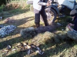 "Нашли рыбу и хотели отвезти в рыбнадзор": под Харьковом полиция задержала браконьеров (ФОТО)