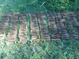 На границе Сумщины с РФ нашли 182 боеприпаса (ФОТО)