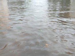 В Луцке разыгралась непогода: город затопило (фото, видео)