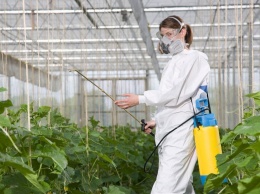 Более 70 жителей Кузбасса отравились пестицидами, двое погибли