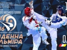 Одесса встретит участников турнира по тхэквондо «Южная Пальмира»