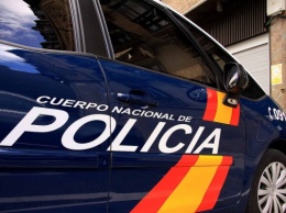 Полиция Испании нашла в грузе ананасов 200 кг кокаина
