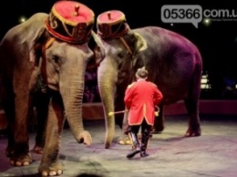 «Восхитительное шоу WOOZU - это настоящее произведение циркового искусства» (фото и видео)