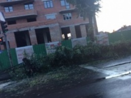 Ураган в Луцке валил деревья и сорвал крышу дома