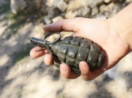 В Луганской области дети играли с боевой гранатой, произошел взрыв