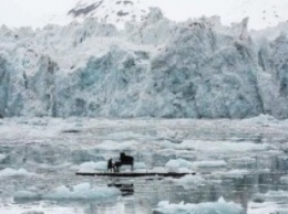 Арктическая элегия: композитор сыграл на рояле в Северном ледовитом океане