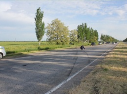 Фото: подробности жуткого ДТП на запорожской трассе