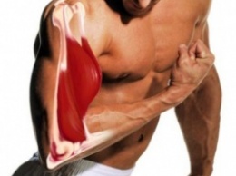 Наглядная биомеханика - различные группы мышц. Полный набор видеороликов