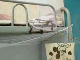 Китайский студент всю ночь мирно спал со змей под подушкой (фото)