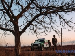Словаки задержали фуру украинской контрабанды, водителю "светит" пять лет