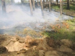 Спасатели ликвидировали возгорание в лесном массиве Северодонецка
