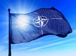 Вступать ли Украине в НАТО решат украинцы - Порошенко