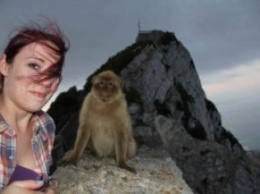 Туристы в шоке, обезьяна не дает фотографироваться без нее
