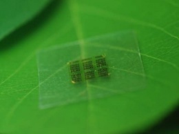 Разработан деревянный микрочип в США