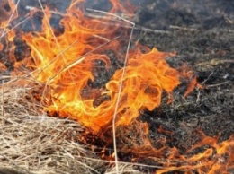 На Николаевщине пылает сухая трава - самый жаркий пожар был в Заводском районе Николаева