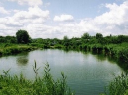 В пруду на Черниговщине утонул 49-летний мужчина