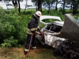 Ужасное ДТП с авто СБУ: погибла целая семья (ФОТО)