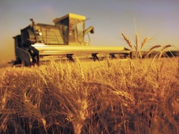На Николаевщине собрали первые 250 тысяч тонн урожая ранних зерновых