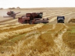 В Добропольском районе начались работы по уборке ранних зерновых культур