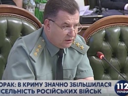 Полторак: Число российских военных в Крыму к 2017 году может составить 43 тысячи человек