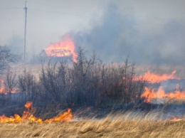 В Бурятии полностью локализованы все лесные пожары