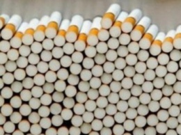 Закарпатские пограничники изъяли более 2000 контрабандных сигарет