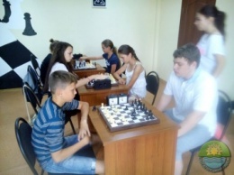 Шахматисты 68-й школы выиграли районный турнир (фото)
