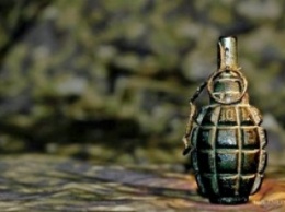 В ОБСЕ подтвердили гибель детей от взрыва гранаты в Енакиево