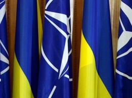 Большая часть граждан из стран членов НАТО поддерживают Украину со вступлением в альянс (опрос)