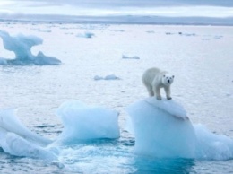 Таяние ледников в Арктике достигло рекордно высокой скорости