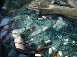 Пограничники поймали рыбаков-браконьеров: улов одного стоил 10 тыс. грн, а второго - 4 тыс. грн