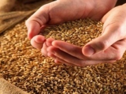 Обладминистрация включила в свой рейтинг по жатве зерновых Краснодонский район