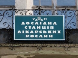 На Полтавщине сегодня празднует свое столетие единственная в Украине опытная станция лекарственных растений