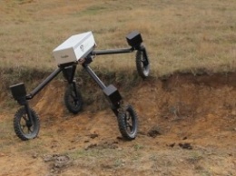В Австралии испытали первого робота-пастуха