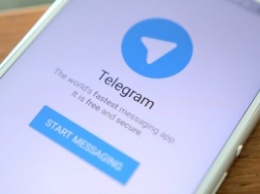 В Telegram обнаружили базу личных данных автовладельцев