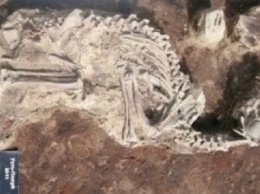 Археологи нашли в Усть-Полуй 2000-летнее кладбище собак