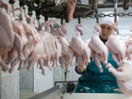 Украина наладит экспорт мяса в Филиппины