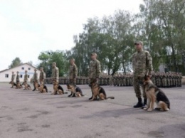 На Львовщине немецкие собаки принесли присягу на верность Украине - улетное видео