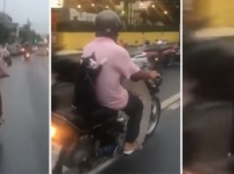 Видео с котом верхом на скутере набирает популярность в сети