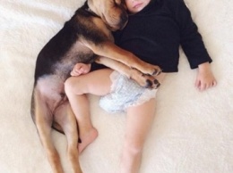 Жительница Канады создала серию снимков со спящими в обнимку младенцем и собакой