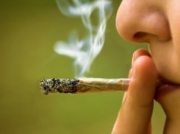 Правоохранители снова изымают марихуану. Чем грозит ее употребление