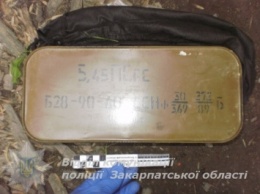В Ужгороде на мусорнике обнаружили более тысячи патронов и гранату