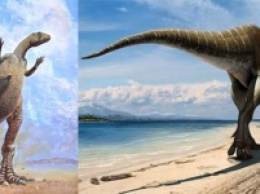 В Боливии нашли огромный след динозавра