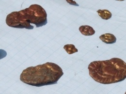 На Полтавщине харьковские археологи нашли скифское золото (фото, видео)