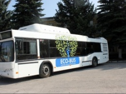 МАЗ представил новые автобусы транспортным компаниям Рязани