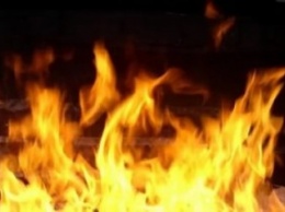 Во время пожара в Мирнограде (Димитрове) погиб человек