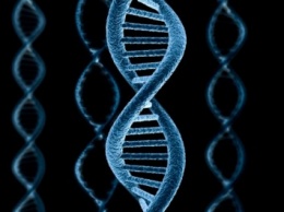 Ученые разгадали главную тайну ДНК